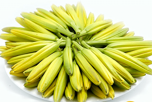 Hoa kim châm tươi.